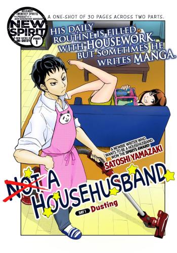 Not a Househusband