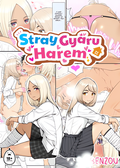 Stray Gyaru Harem